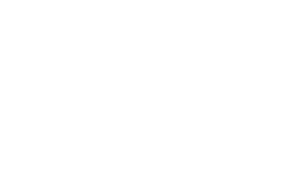 BC Vermittlung